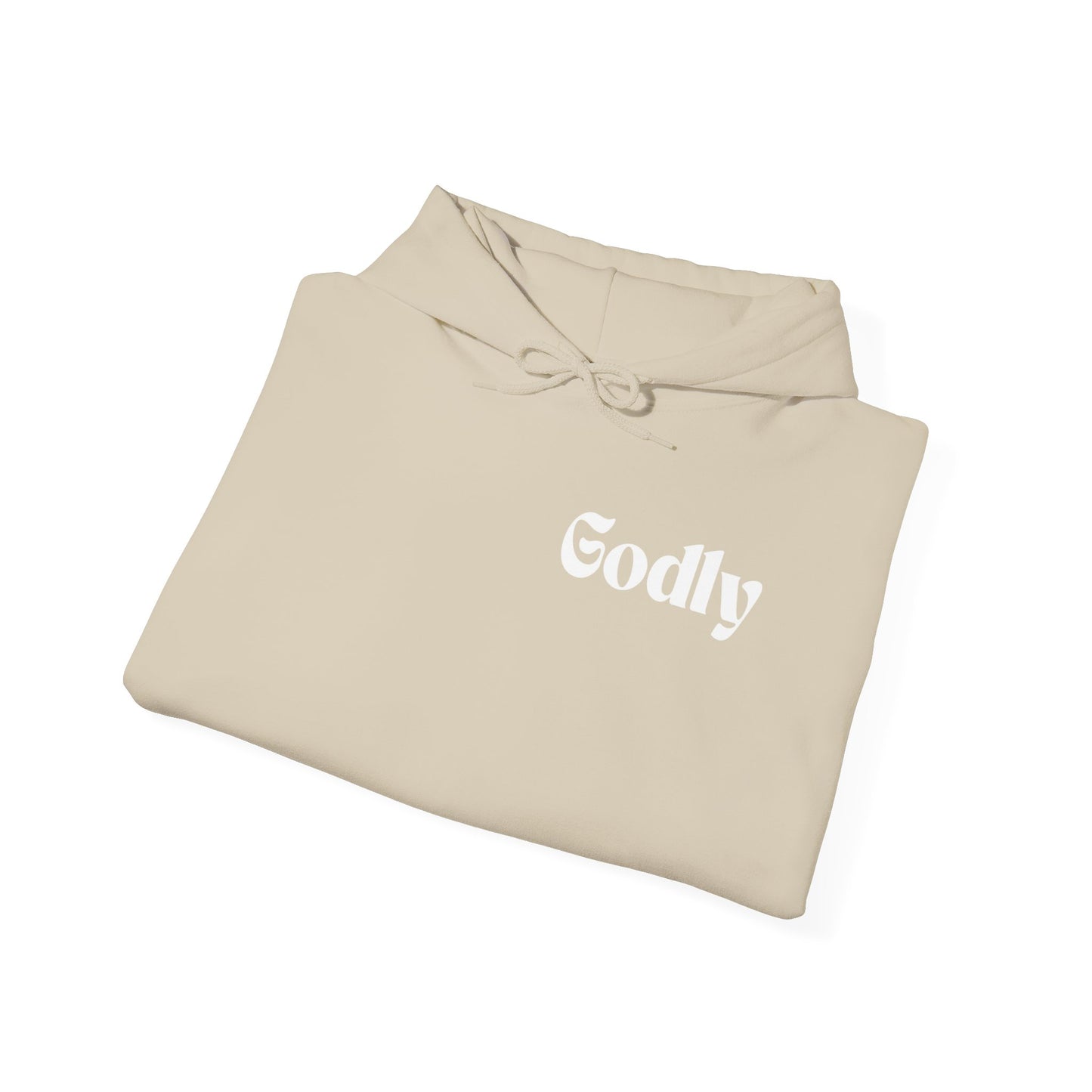 Jesus Definition Hoodie